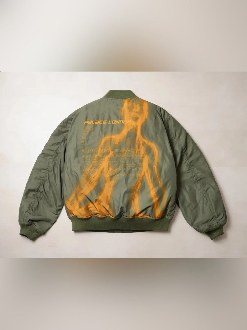 Palace Chakra Rave Jacket 'The Deep Green' P28JK088 Bomber Graphic Logo Sz Large